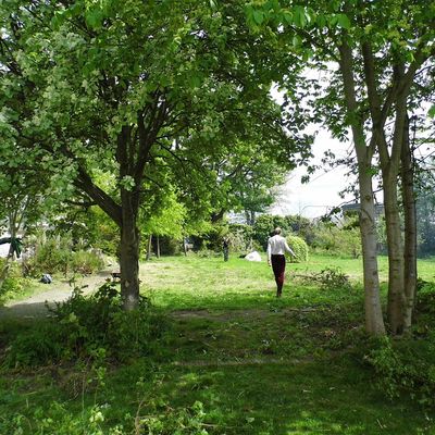 Transition Edinburgh South logo