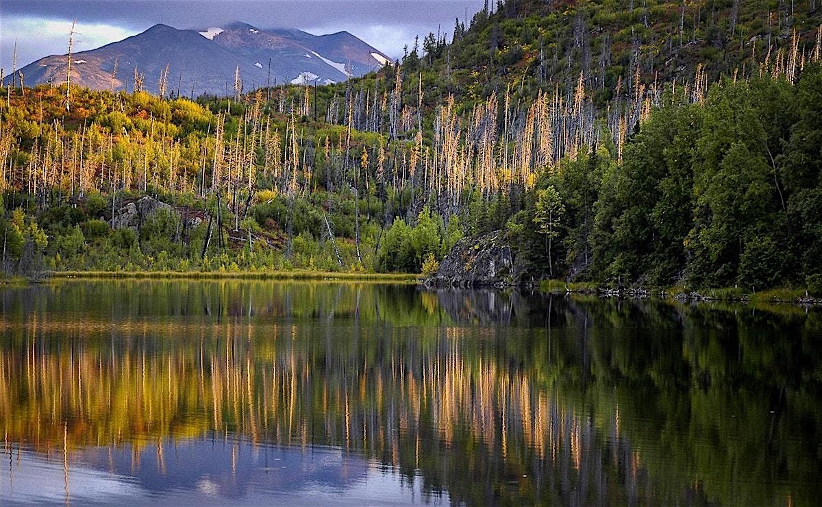 Intermediate Photography 201, 24 January | Event in South Bend | AllEvents