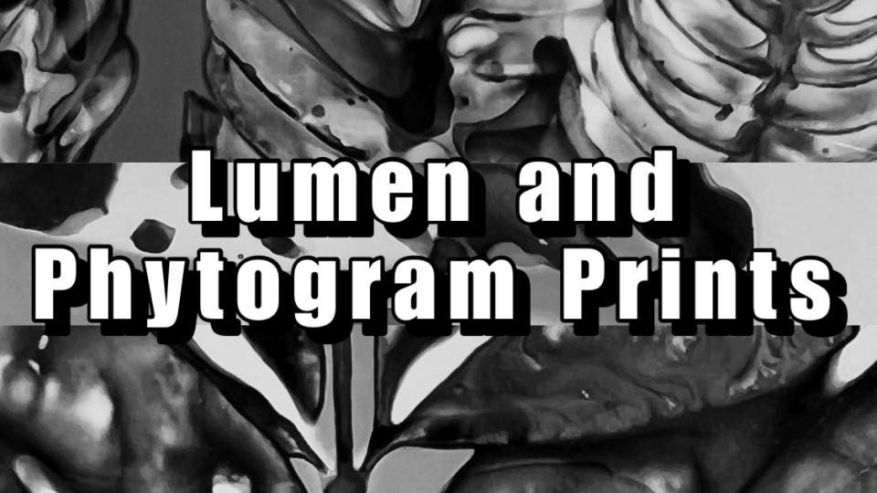 Lumen and Phytogram Prints!, Ijams Nature Center, Knoxville, 15 July ...