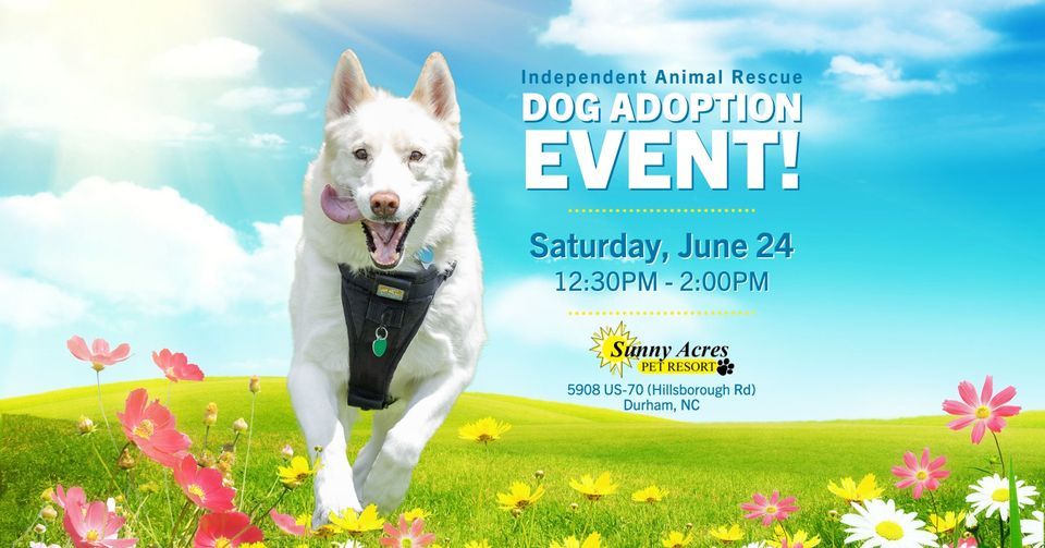 Independent Animal Rescue Dog Adoption Event Sunny Acres Pet Resort