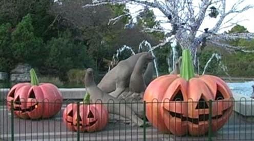 Speed Dating On Areas Of Law 2nd Annual Halloween Event St Louis Zoo South Parking Lot October 28 2022 Allevents In San Antonio Halloween 2022 Events