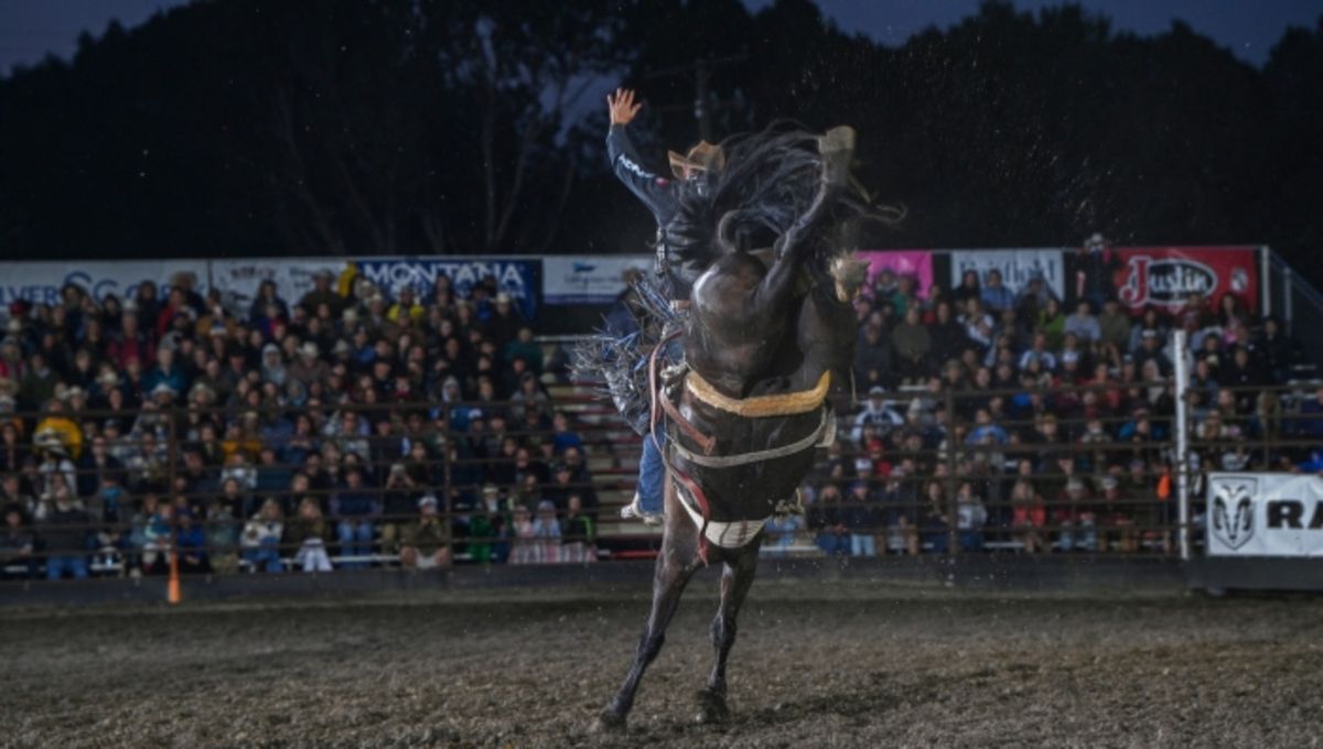 Livingston Roundup Rodeo, 30 June | Event in Livingston | AllEvents