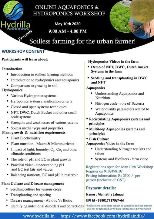 online aquaponics & hydroponics workshop at hydrilla