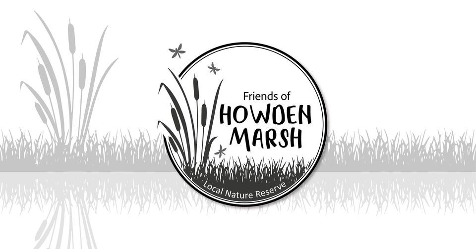 Friends of Howden Marsh, Howden Marsh, Goole, 24 March 2024 | AllEvents.in