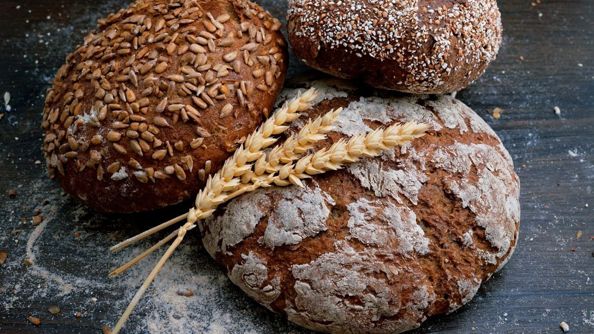 Learn About Sourdough | Event in Roy | AllEvents
