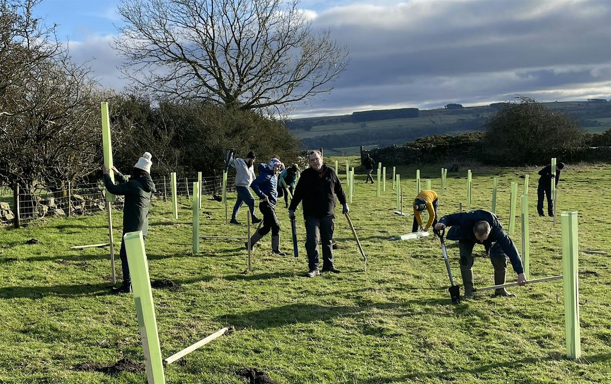 Volunteers Needed to Plant Trees Just South of Bristol
