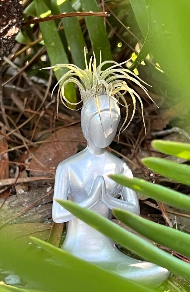 New Years Eve 5th Sunday Kirtan (and Potluck) at Sacred Lands!, Sacred Lands Preservation and