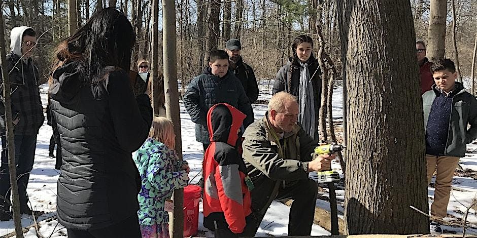 Making Maple Syrup, 7 March | Event in Rochester | AllEvents