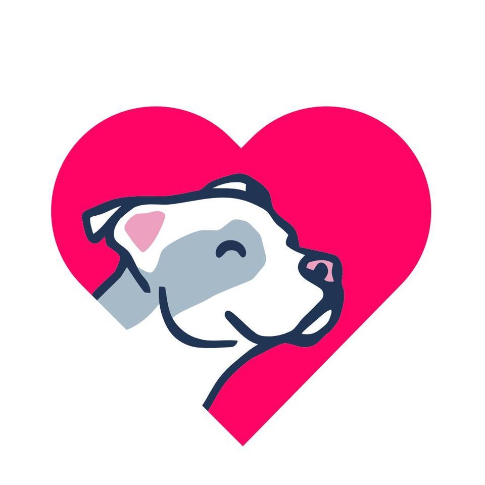 Adorable Dog Contest , The Edit HBG, Harrisburg, 10 June