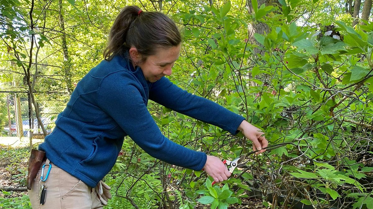 Practical Pruning, 21 February | Event in Devon | AllEvents