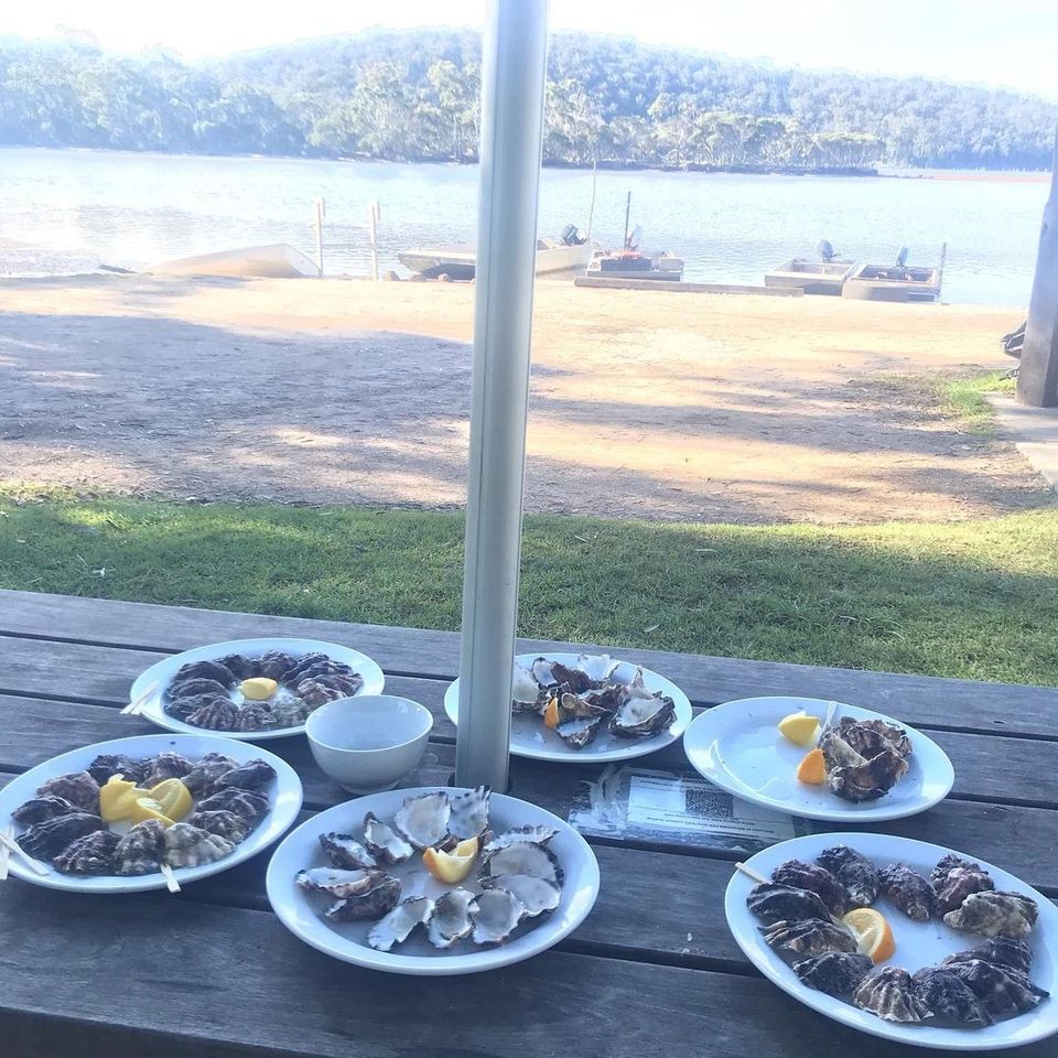 Pambula River Oyster Merroir Discovery, Broadwater Oysters Pambula