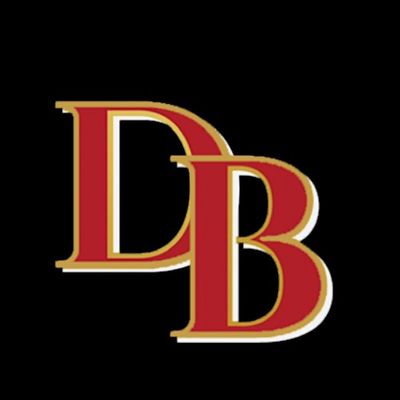 Diggs Boys, LLC logo