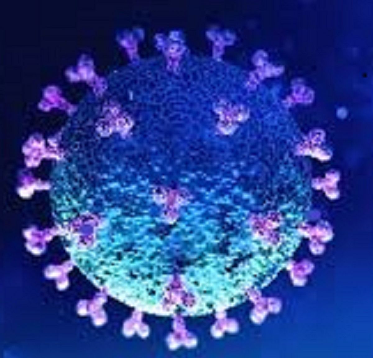 Events In Reno United States In May 2021 Reno Events May 2022