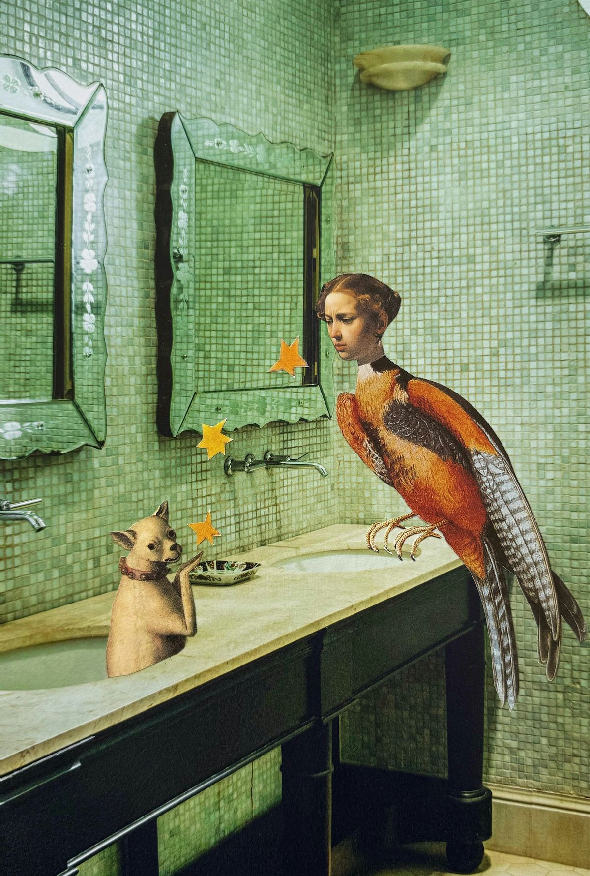 November Collage Collective: Creature Features | Event in Boulder | AllEvents