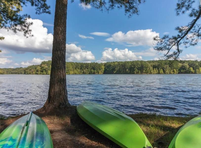 Paint Natchez Trace State Park, Pin Oak Lodge at Natchez Trace State