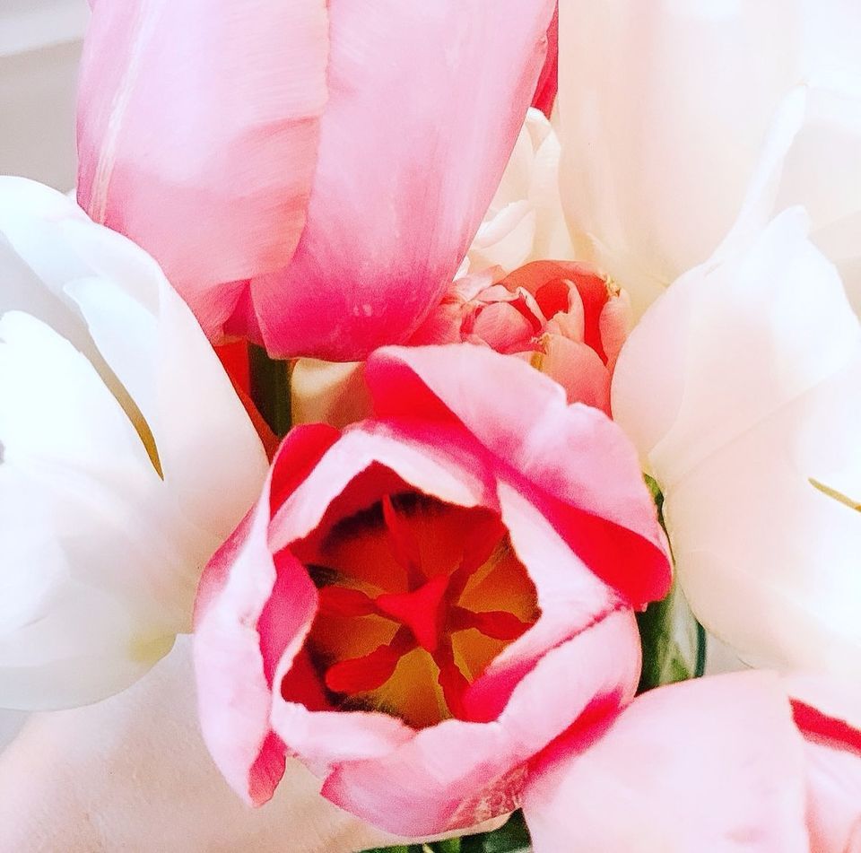 Easter Bouquets, Glanford Area, Victoria, BC, Canada, 31 March to 1