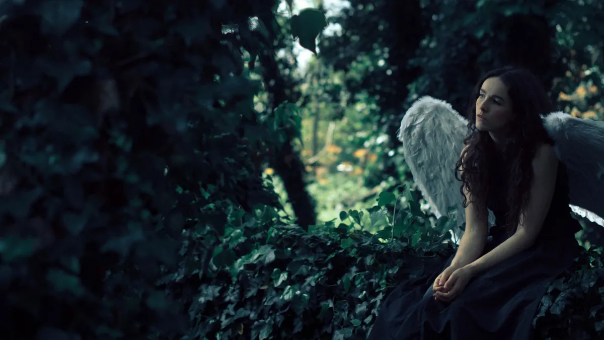 Robinson in Stuttgart, 19 December | Event in Stuttgart | AllEvents