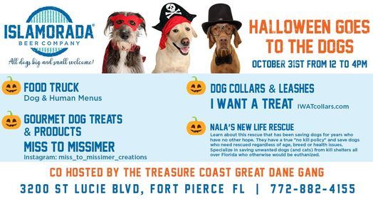 Food Trucks Events In Fort Pierce Today And Upcoming Food Trucks Events In Fort Pierce Halloween Space Coast Events 2022