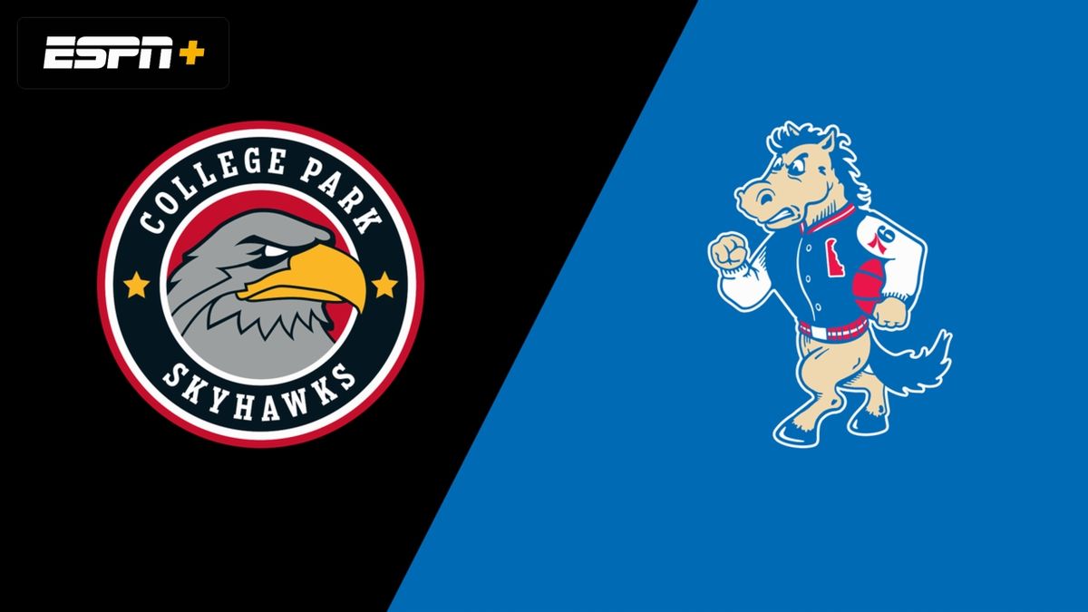 College Park Skyhawks at Delaware Blue Coats | Event in Wilmington | AllEvents