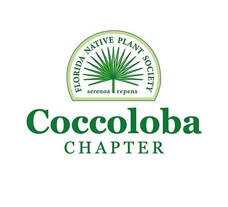 Foraging the Forest at Cocohatchee Creek Preserve, 7 February | Event in Estero | AllEvents