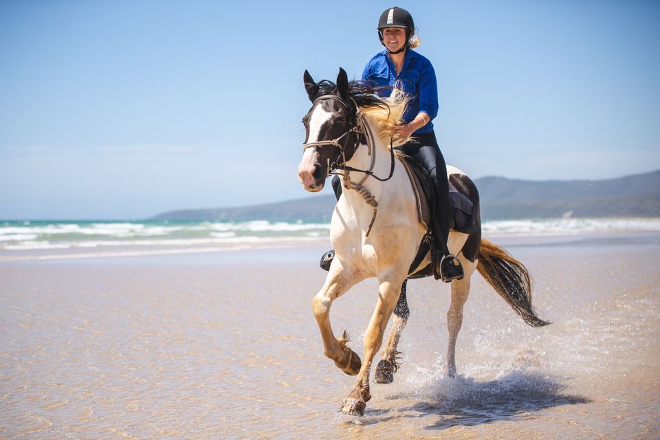 Explore Tasmania 3 day horseriding trek, Cradle Country Adventures