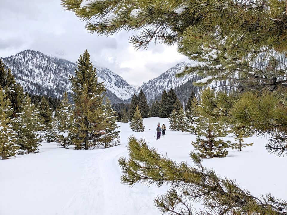 Refuge Point Snowshoe Hike, Refuge Point Trail, West Yellowstone