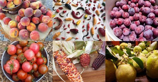 All Events In Fallon Nv Today And Upcoming Events In Fallon Nv Events March 2022 Fallon Nv