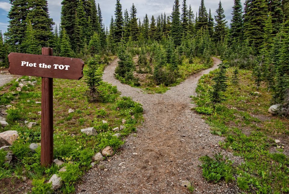 Plot the TOT A Collaborative Map to Optimal Greenville ONE