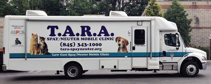 Cat Spay/Neuter Clinic with TARA Inc., Dutchess County SPCA, Hyde Park