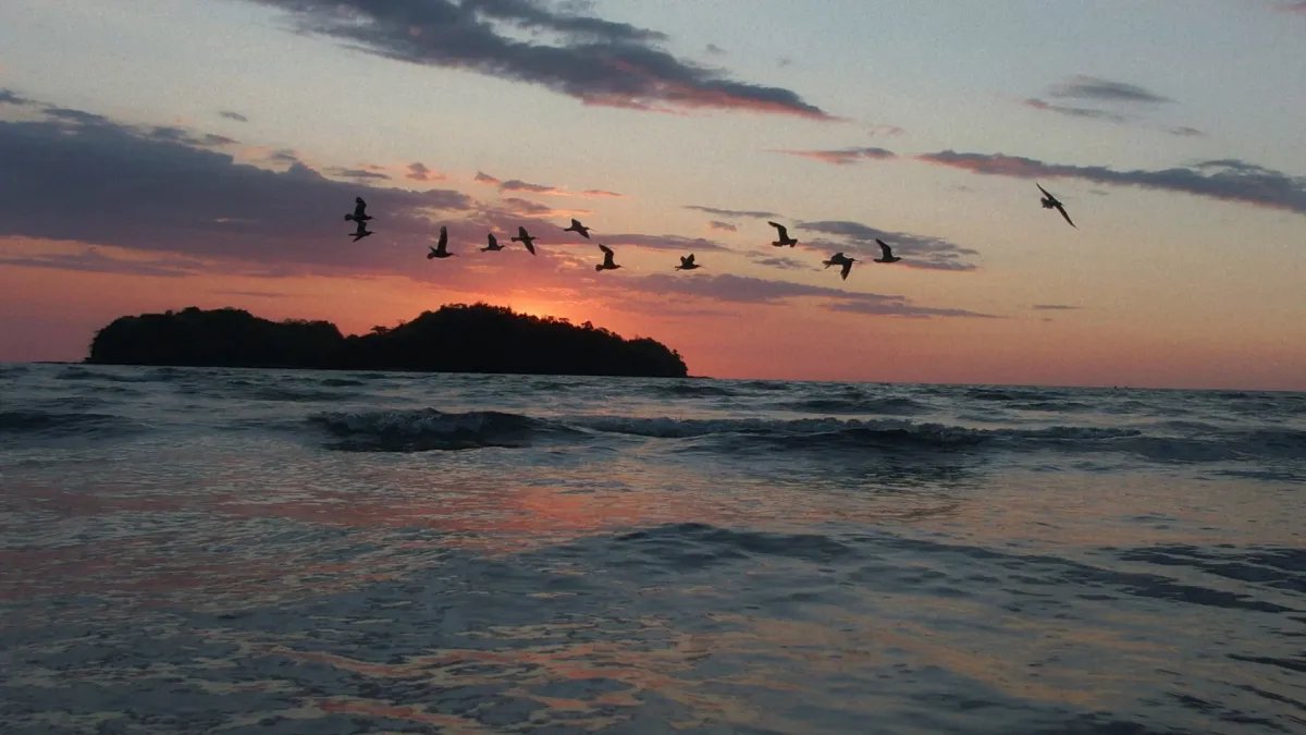 Sofiane Pamart in Berlin, 31 March | Event in Berlin | AllEvents