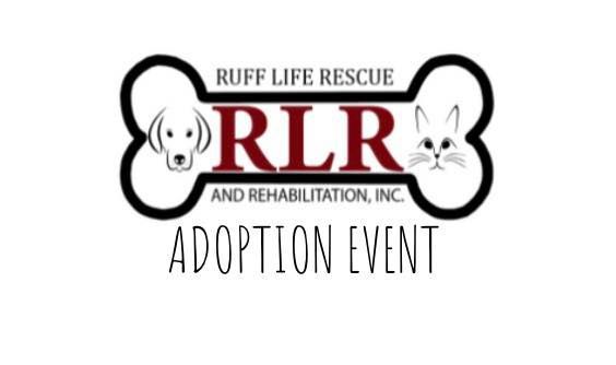 Adoption Event at Purr Haus, 27 S 7th St, Emmaus, PA 18049-3716, United