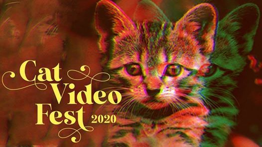 Alley Cats And Angels Adoption Event At Cat Video Fest 2020 Raleigh
