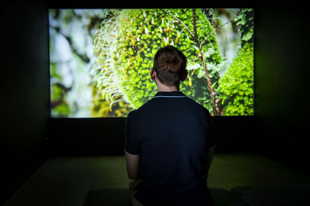 CURATOR TALK: POSTWORLD, 6 December | Event in Windsor | AllEvents