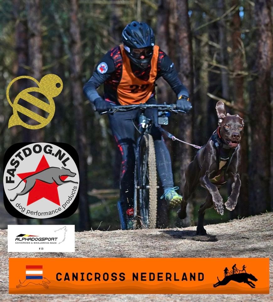 Fastdog canicross step en bike wedstrijd BRUINISSE , Grevelingendam ...