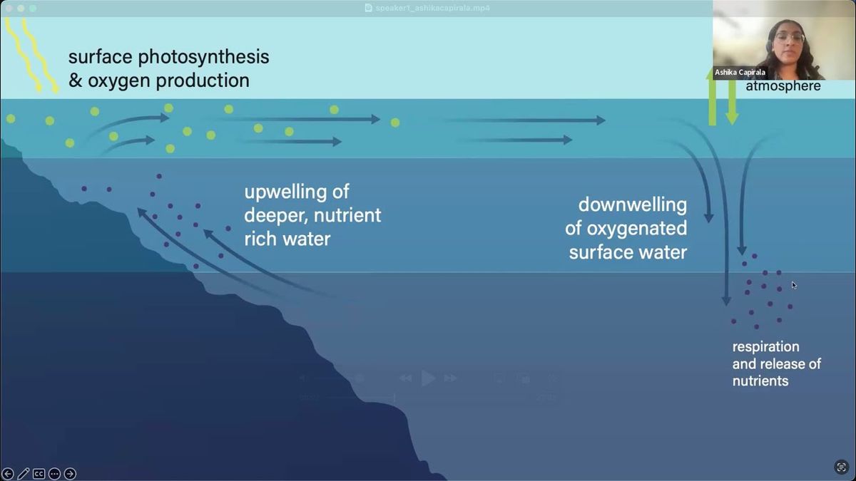 Ashika Con - Saturday (Time: TBD), 9 January | Event in Lincoln City | AllEvents
