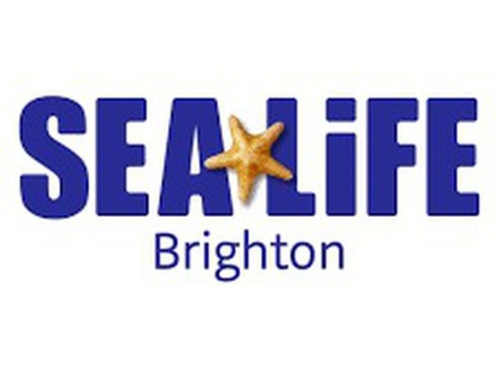 Sea Life Brighton Anytime Entry | Event in Brighton | AllEvents