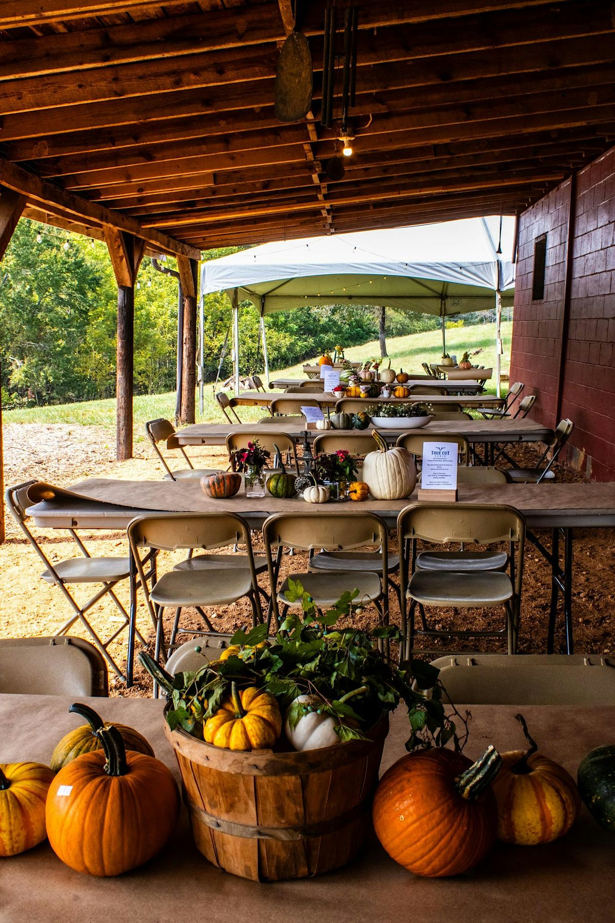 Fall Harvest Market, Pumpkin Smash, & Seafood Pickup, True Cut Ranch ...