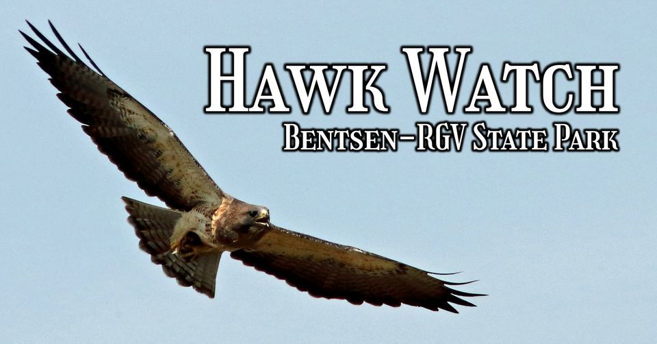 Hawk Watch, Bentsen-Rio Grande Valley State Park - Texas Parks and ...
