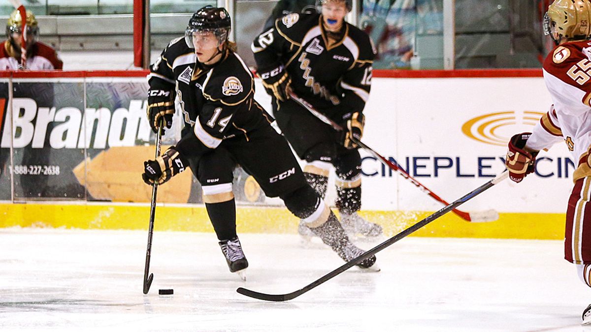 Victoriaville Tigres at Charlottetown Islanders, 16 October | Event in Charlottetown | AllEvents