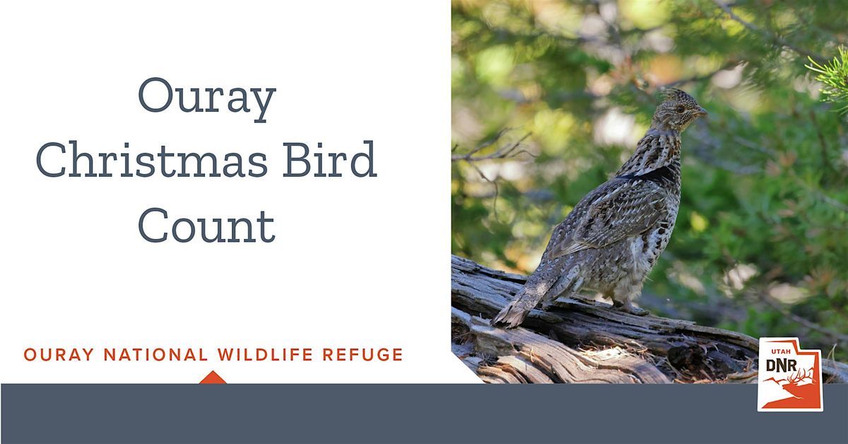 Ouray Christmas Bird Count, 20 December | Event in Randlett | AllEvents