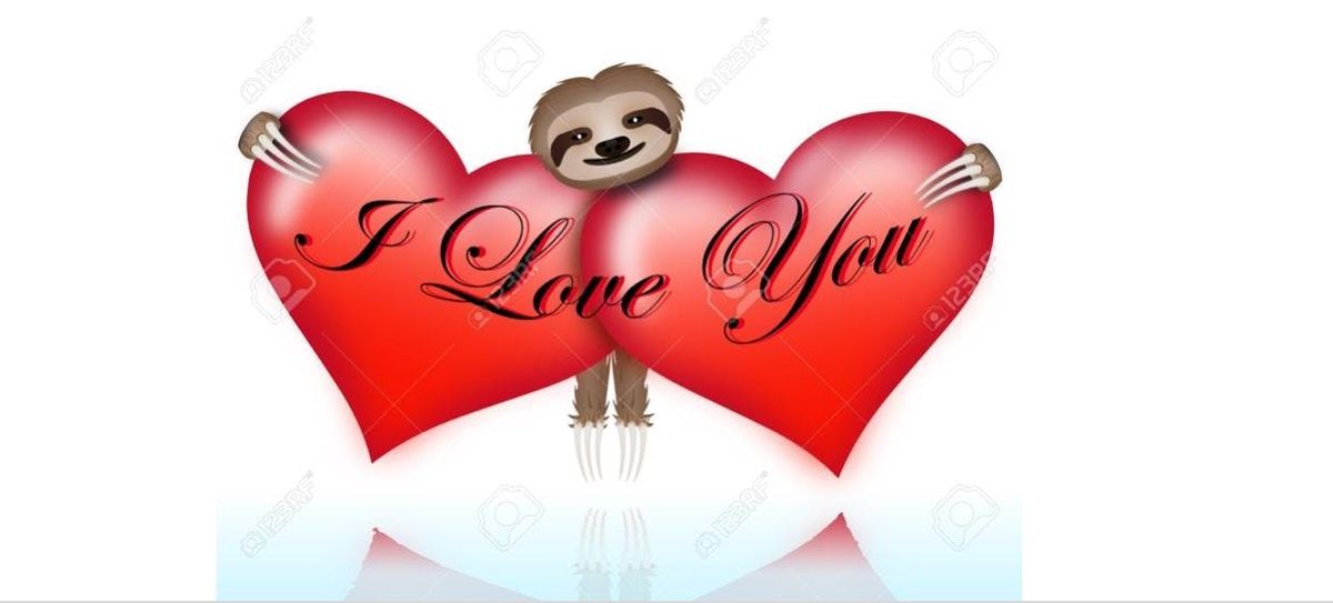 Vip Sloth Encounter Vip Sloth Encounter