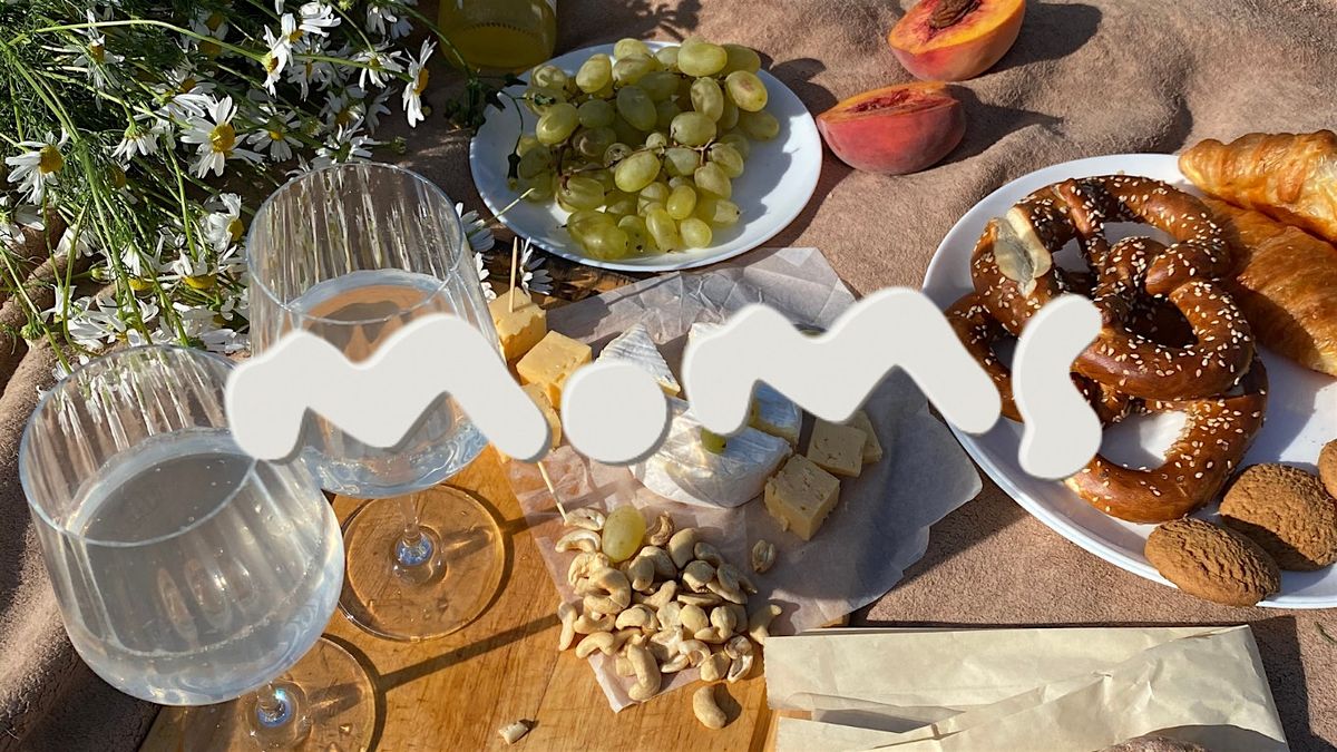 Moms of Rotterdam: Potluck Picnic