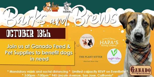 Barks Brews Sun Oct 18 At 03 00 Pm