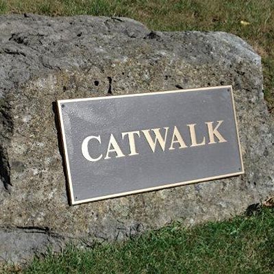 Catwalk Institute